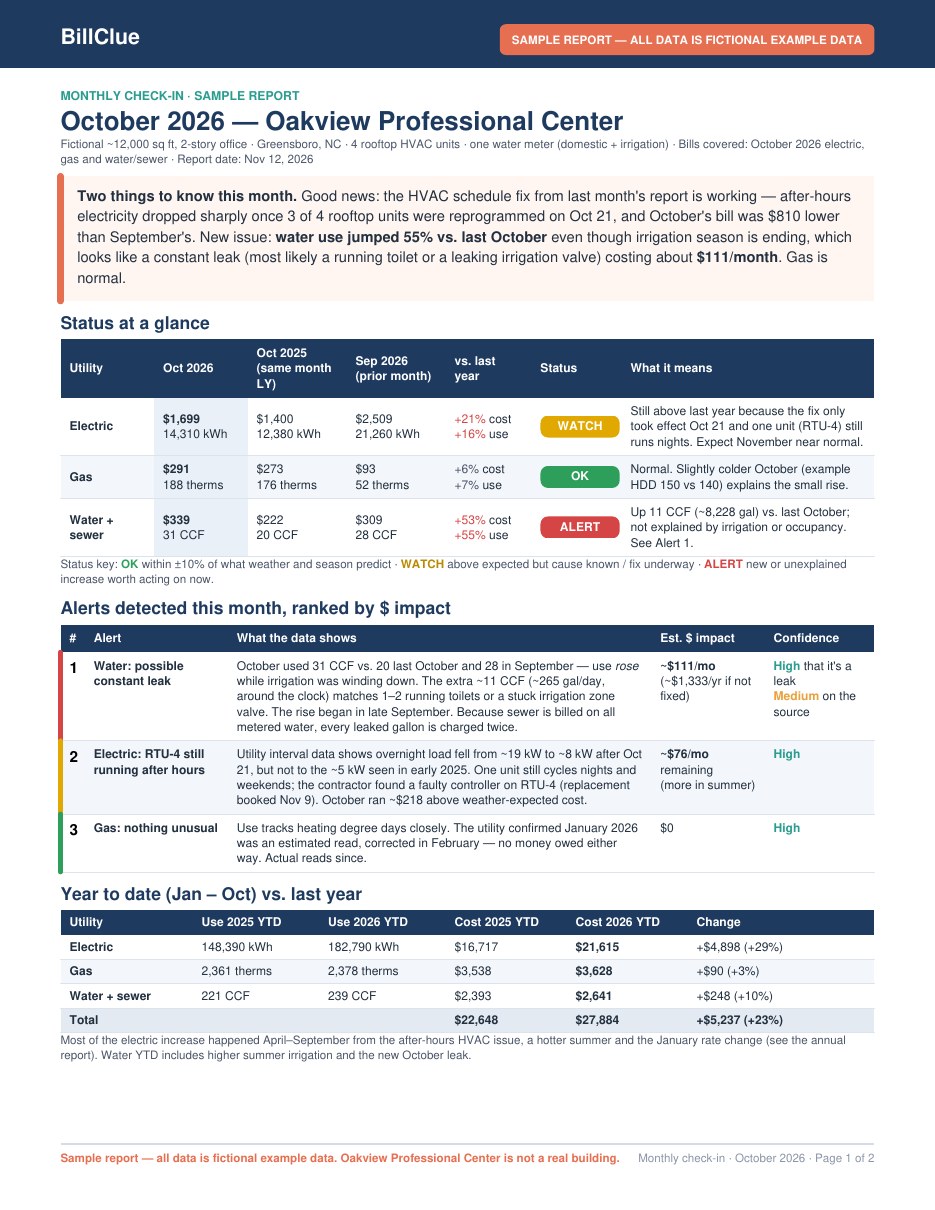 Sample monthly check-in page 1: status for electric, gas and water with a water leak alert
